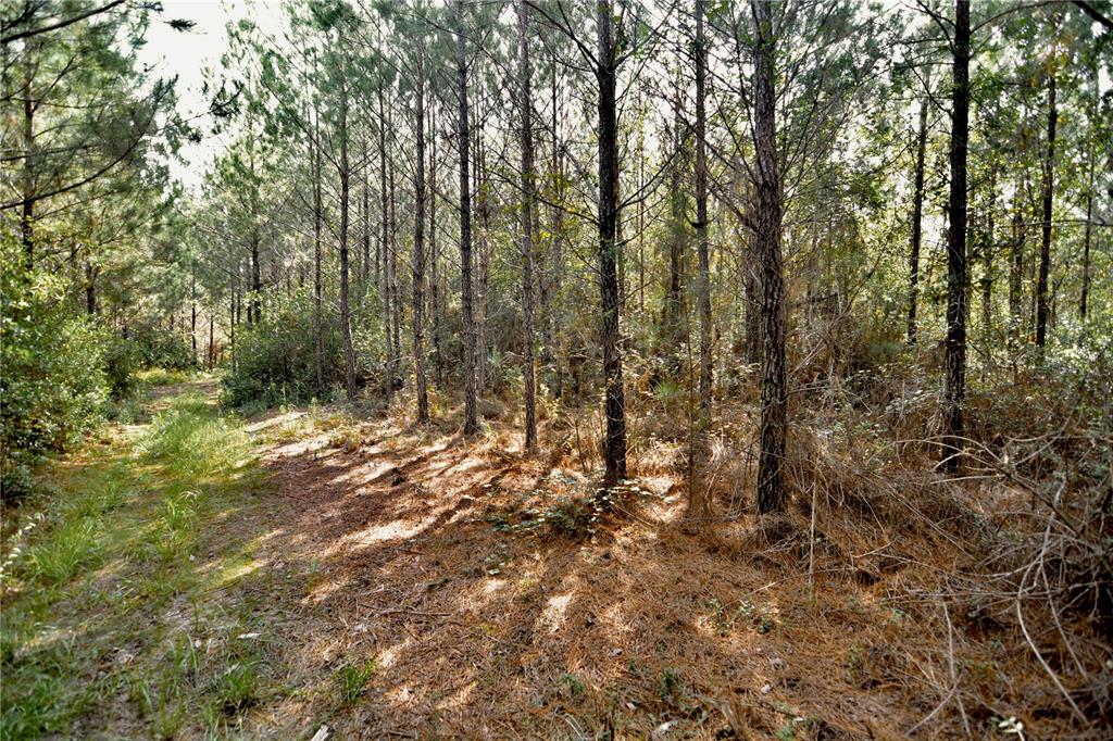 0 Old Federal Road Quincy, FL 32351 - Photo 39 of 81 Gallery Image 39