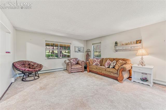 610 Winding Hills Road Monument, CO 80132 - Photo 8 of 42 Gallery Image 8