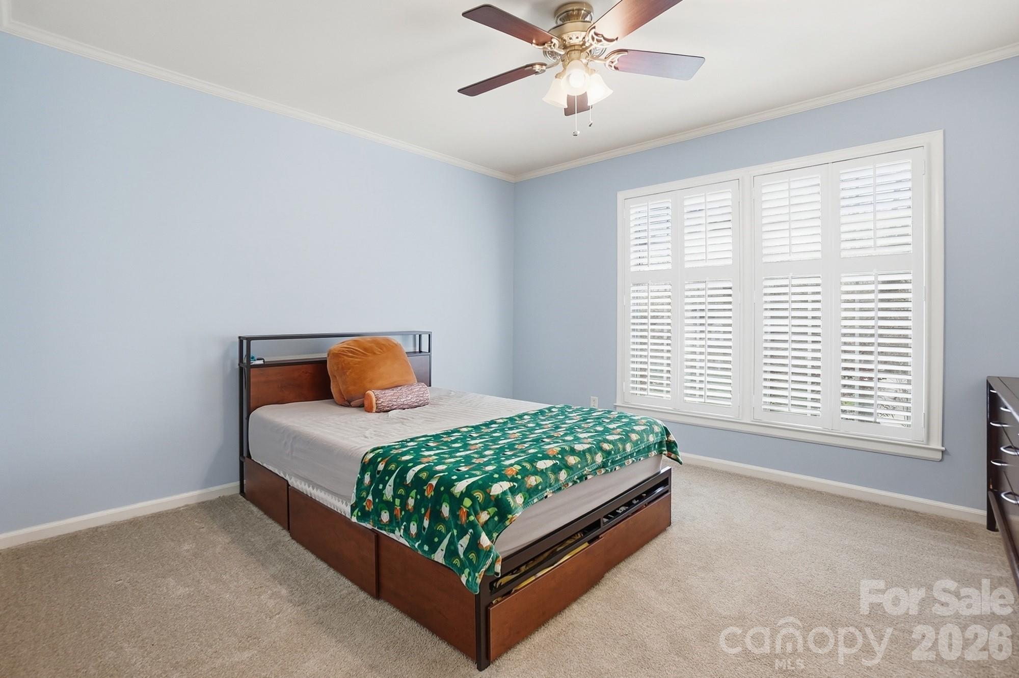 6123 Lake Providence Lane Charlotte, NC 28277 - Photo 18 of 42
