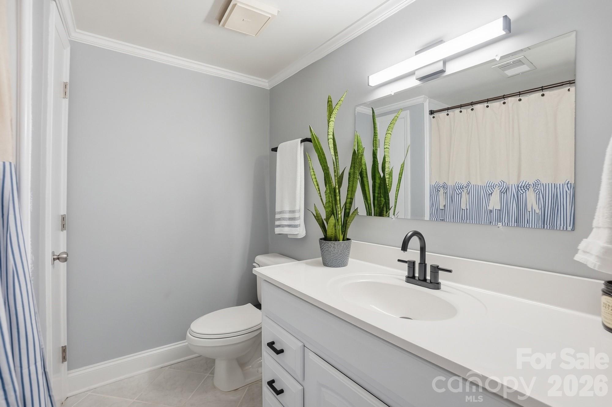 6123 Lake Providence Lane Charlotte, NC 28277 - Photo 26 of 42