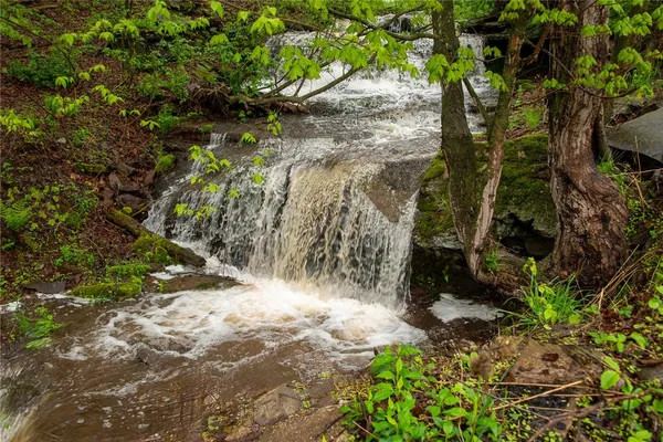 $385,000 | 52521 State Highway, Bloomville, NY 13739