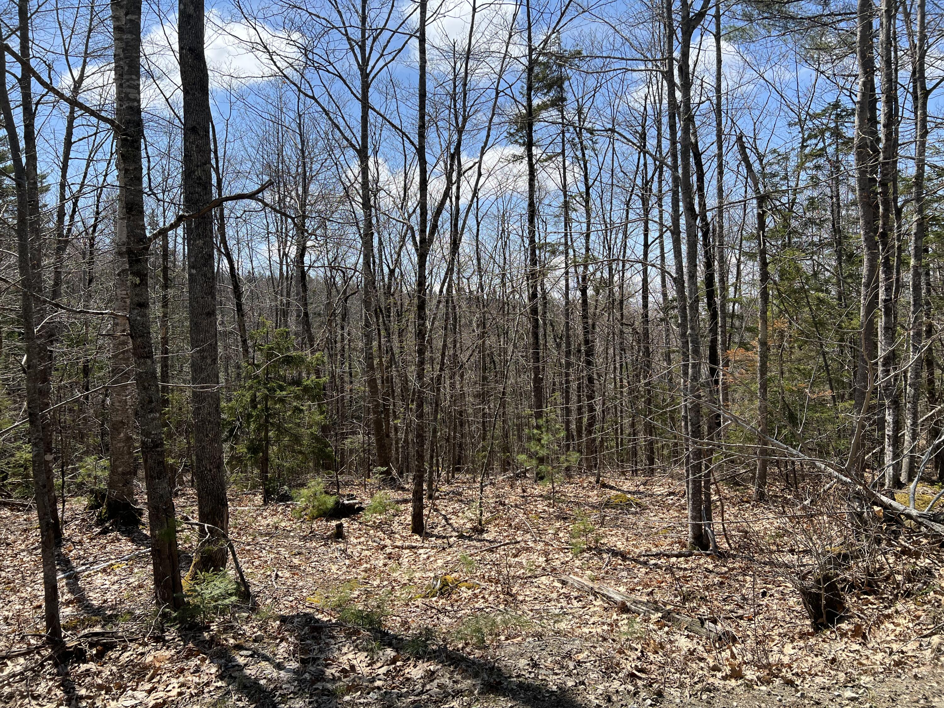 0 Hunk Sawyer Road Bucksport, ME 04416 - Photo 9 of 10 IMG_4616