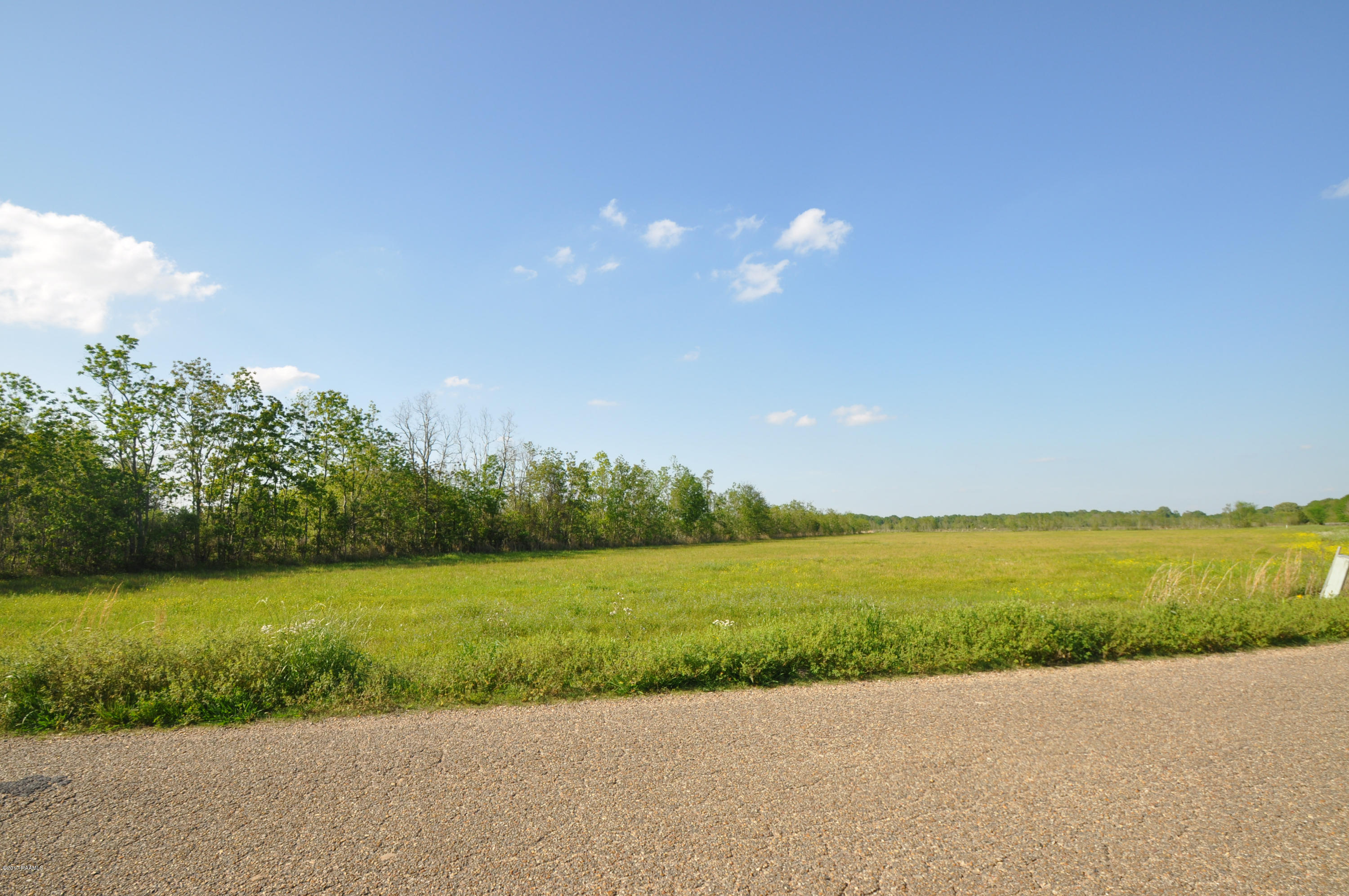 565 Dufilho Road Opelousas, LA 70570 - Photo 4 of 5 DSC_0059