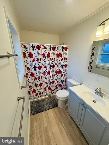 a bathroom with a sink a toilet and shower curtain