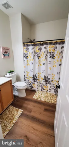 a view of a living room and rug