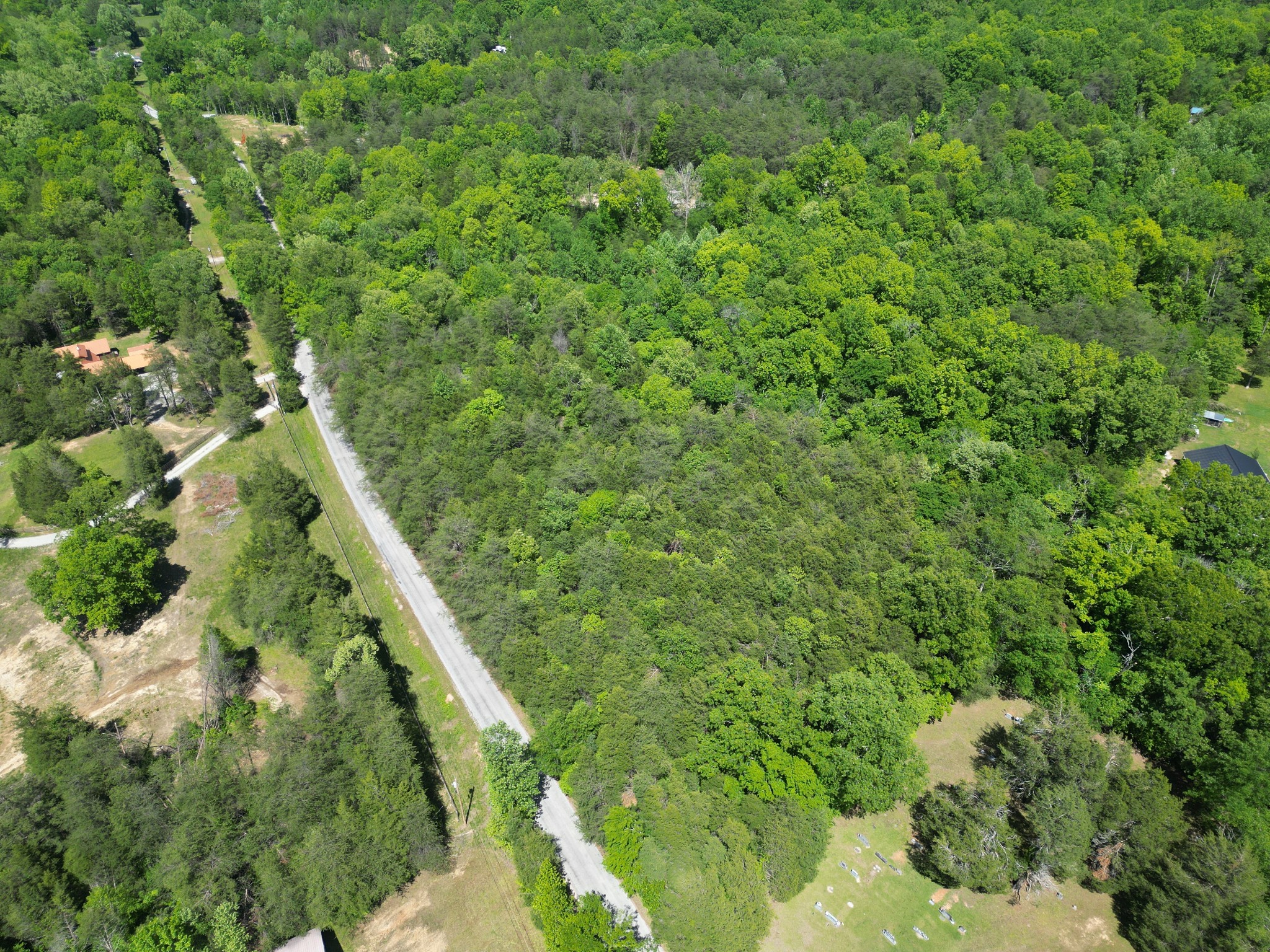 828 McCord Hollow Road Hohenwald, TN 38462 - Photo 22 of 35 a view of a lush green forest with lots of trees