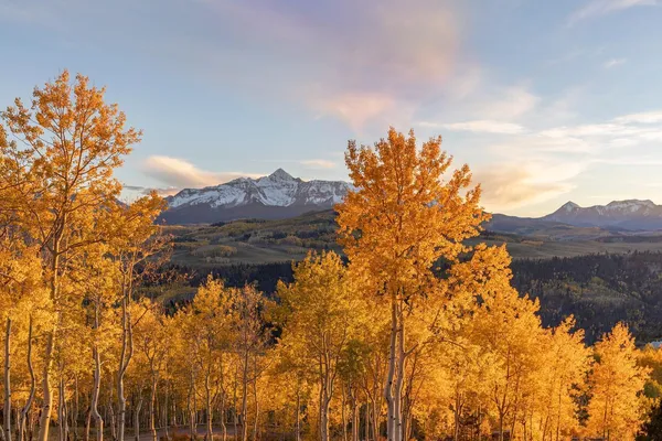 an aerial view of a house with a yard swimming pool and outdoor seating