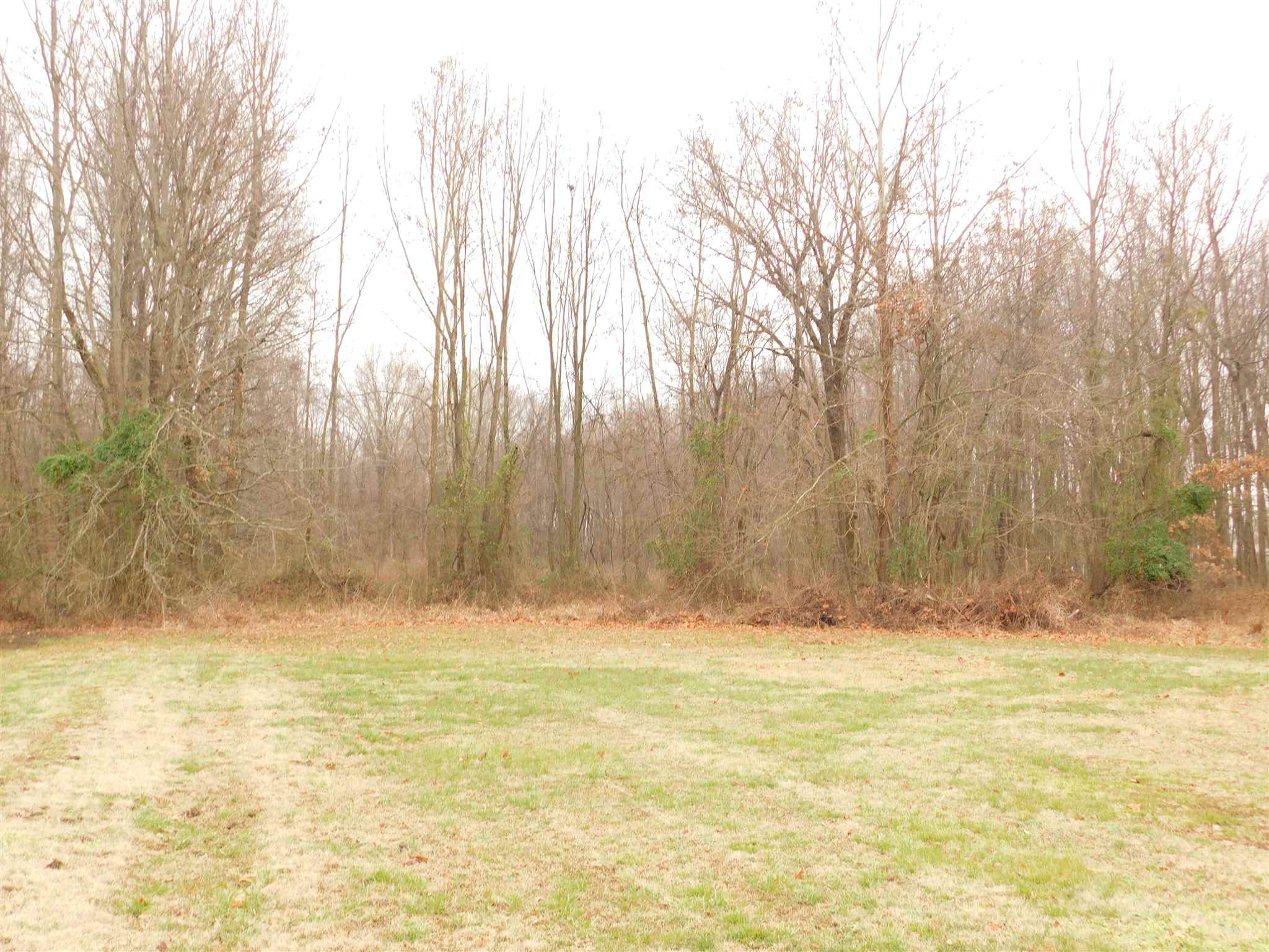 1333 West Maple Grove Road Boonville, IN 47601 - Photo 8 of 35