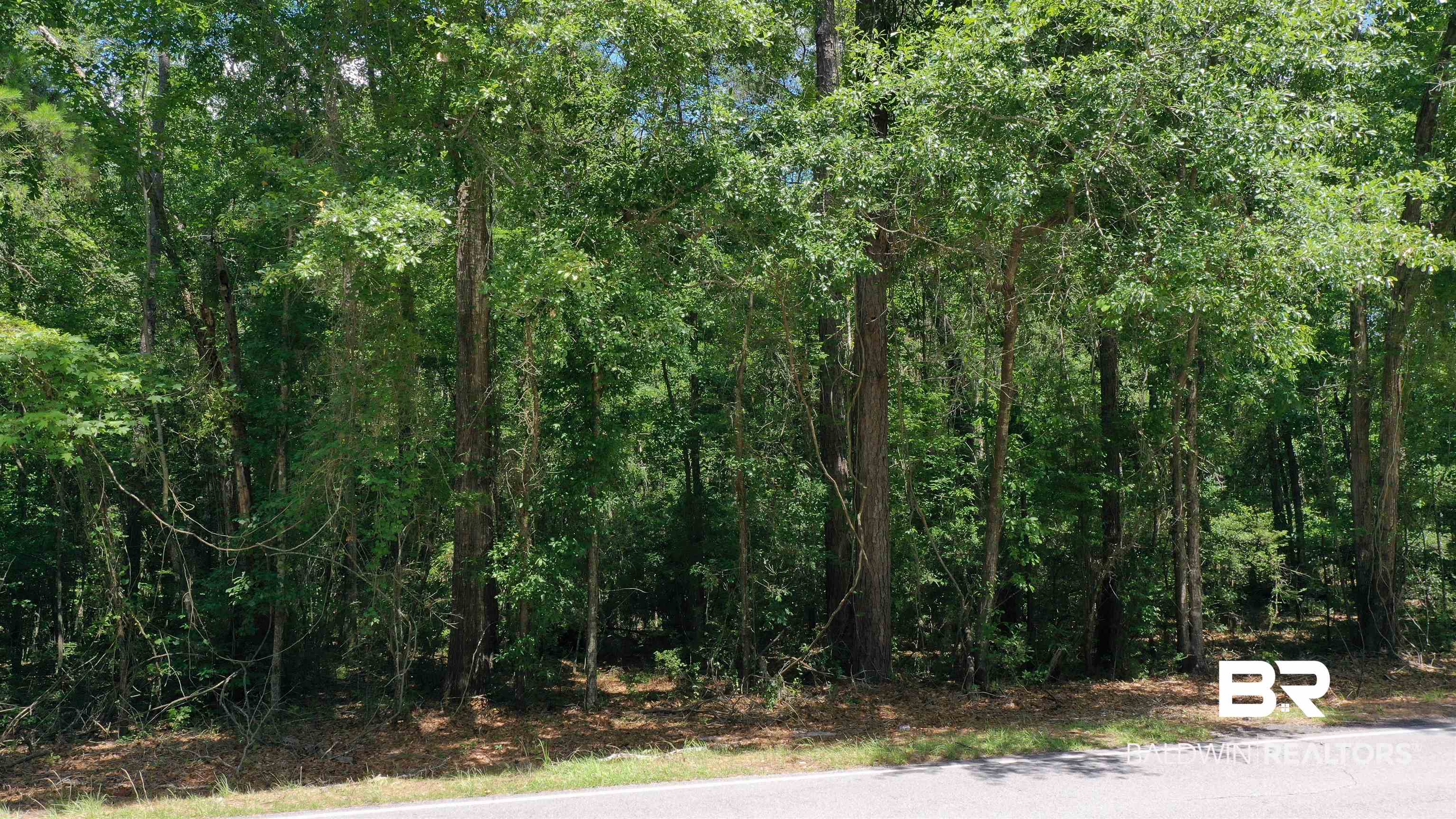 1 Jay Road Brewton, AL 36426 - Photo 12 of 14