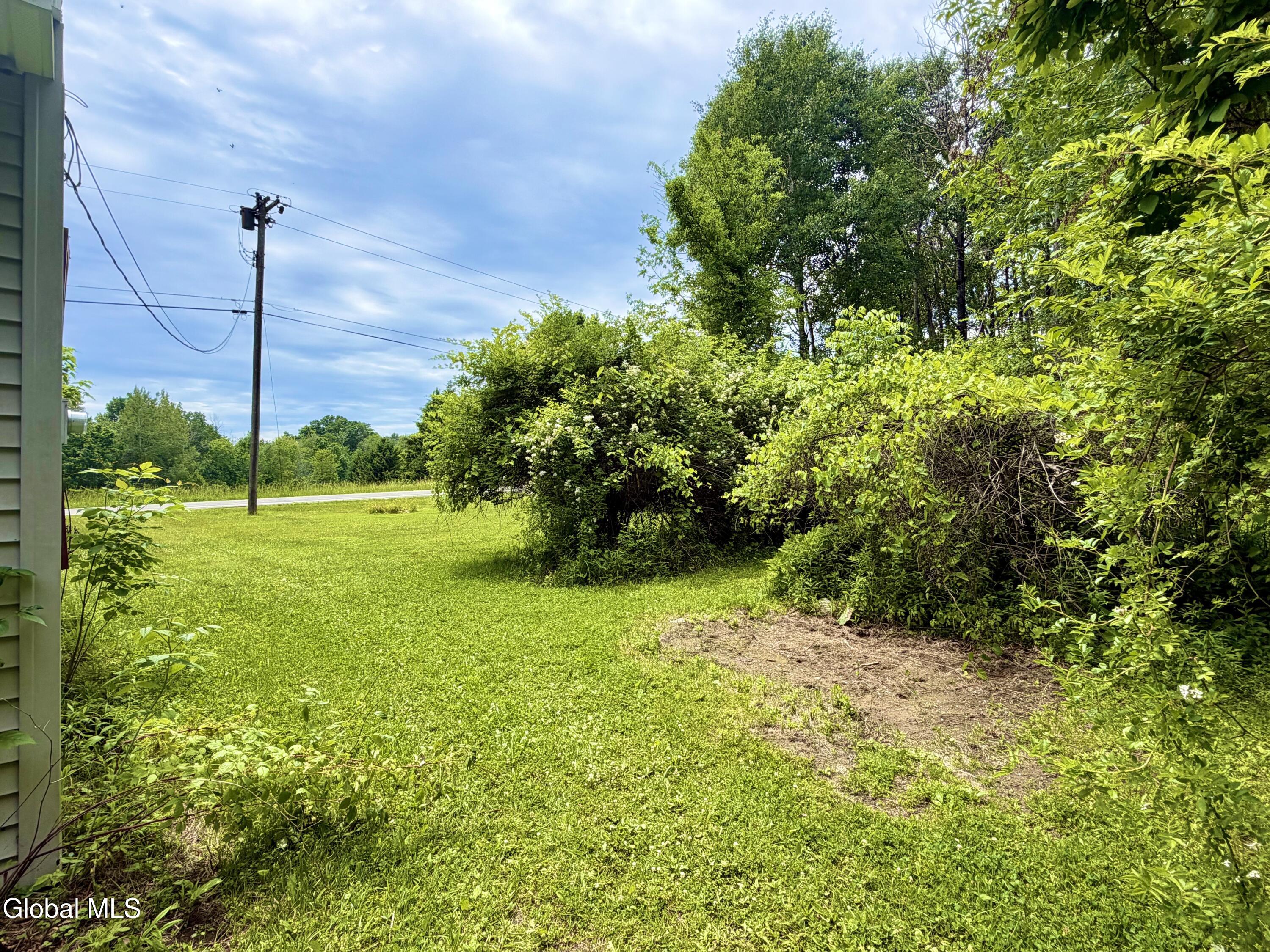 166 Potter Road Glenville, NY 12010 - Photo 35 of 38 Potter Back 2
