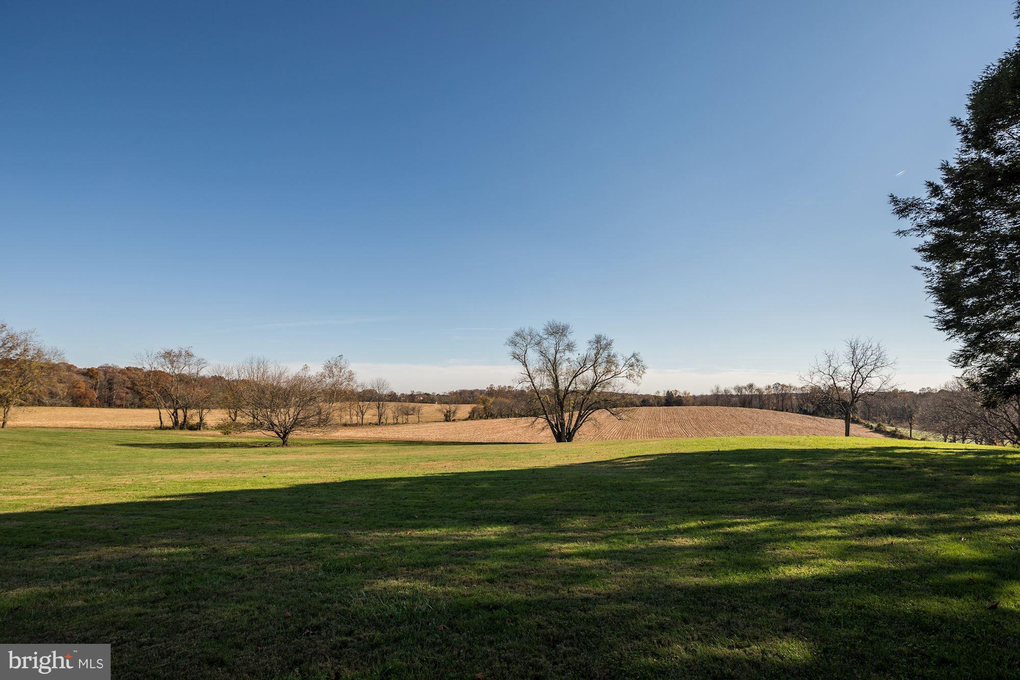 16449 Ed Warfield Road Woodbine, MD 21797 - Photo 78 of 102 Front Yard & Fields