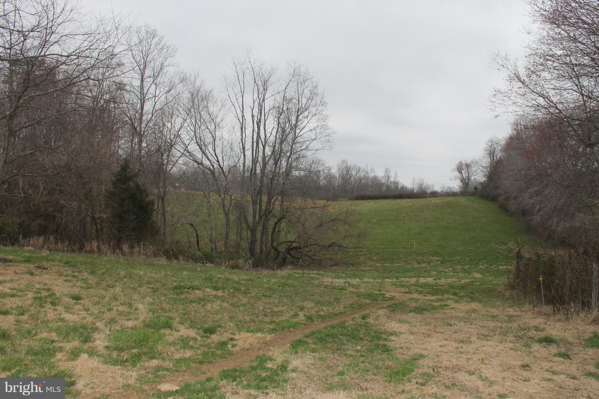 5096 Waterford Road Rixeyville, VA 22737 - Photo 11 of 28 Pasture