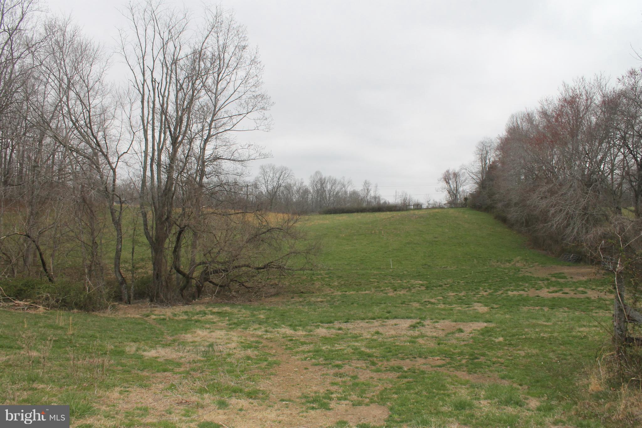 5096 Waterford Road Rixeyville, VA 22737 - Photo 12 of 28 Pasture