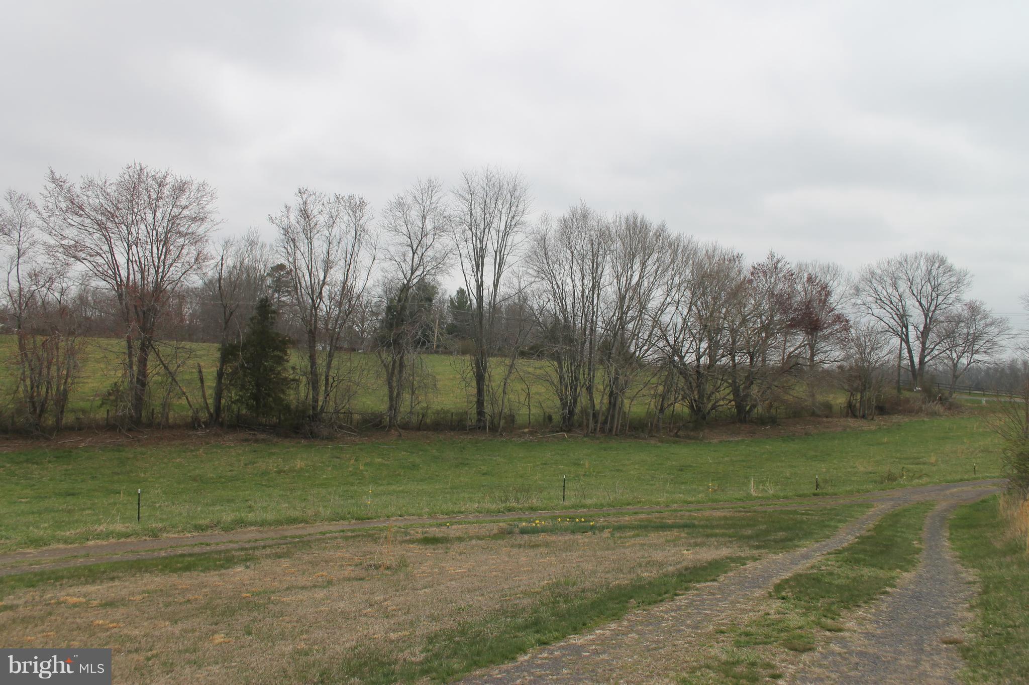 5096 Waterford Road Rixeyville, VA 22737 - Photo 14 of 28 Pasture