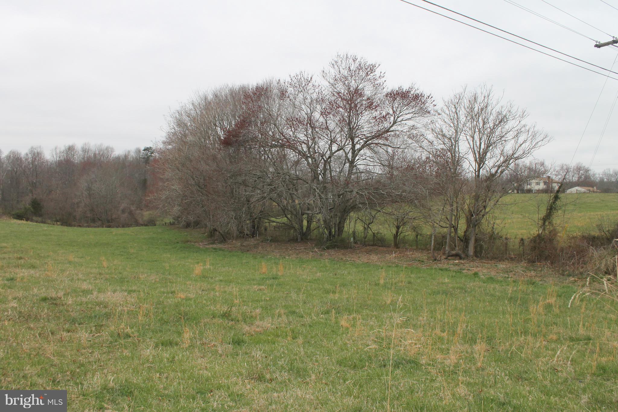 5096 Waterford Road Rixeyville, VA 22737 - Photo 16 of 28 Pasture