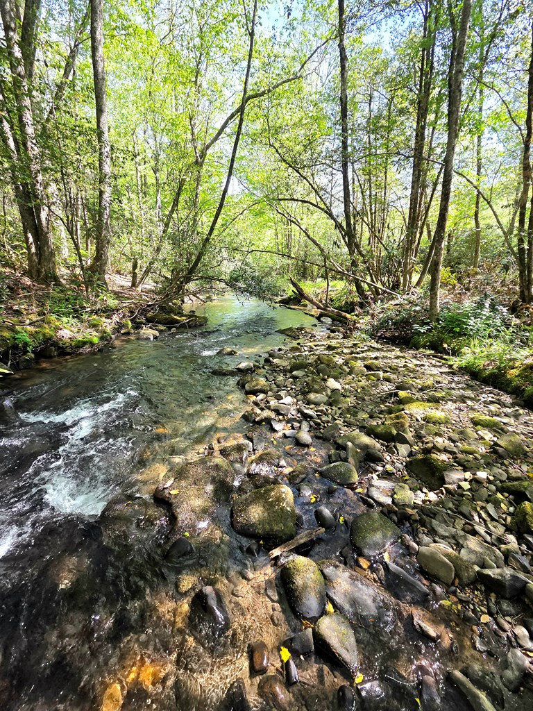 795 Porter Field Gap Road Robbinsville, NC 28771 - Photo 8 of 105