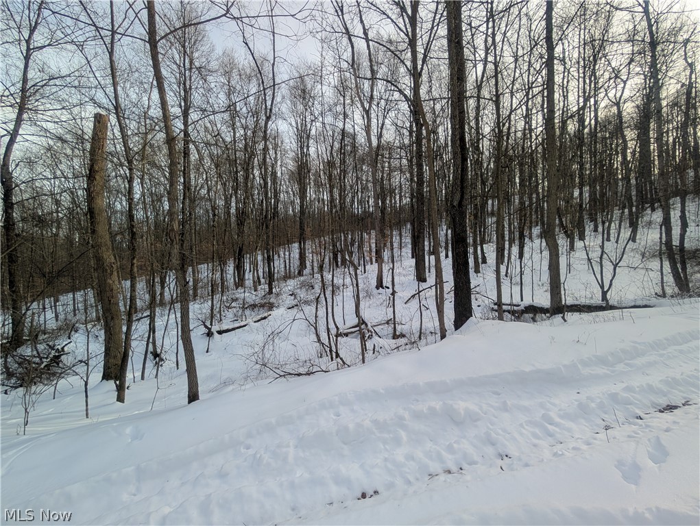 0 Tract 10 Kuhn Road Lewisville, OH 43754 - Photo 18 of 27 View of yard