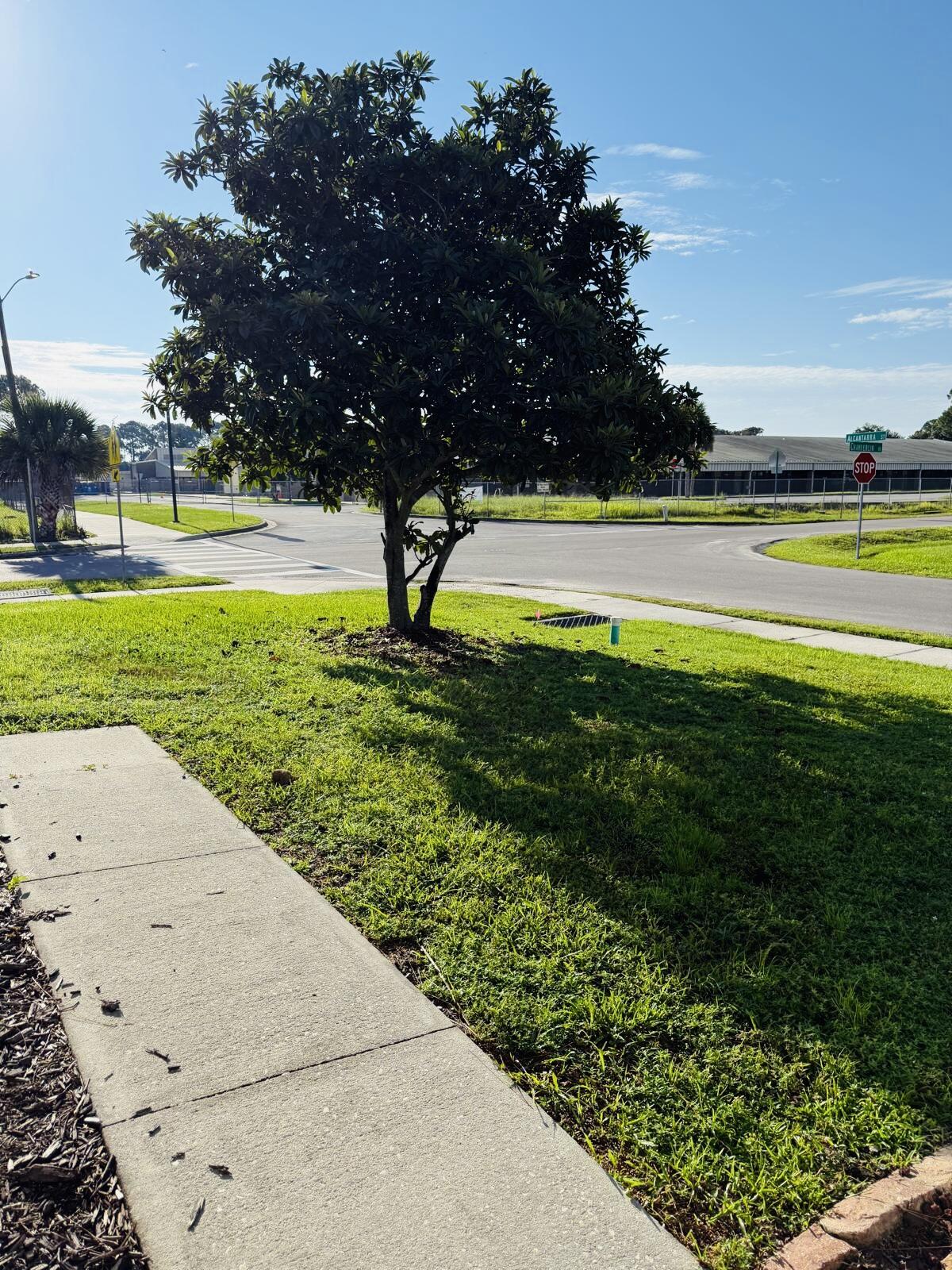 207 Alcantarra Street Northwest Palm Bay, FL 32907 - Photo 22 of 23 b551c65c-8b8c-445c-96be-ede367ec905a