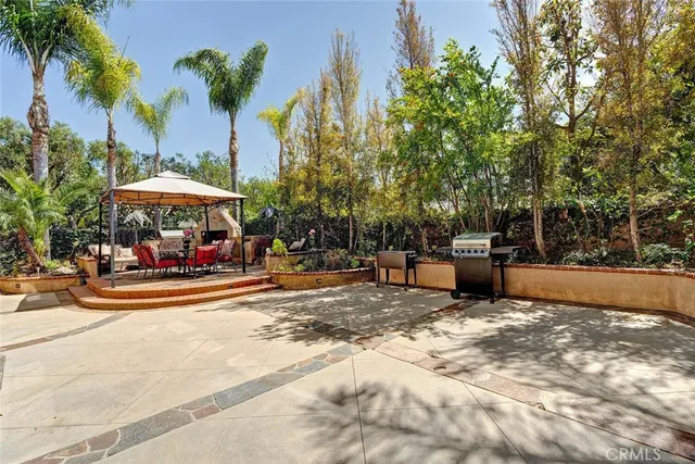 a street view with large trees