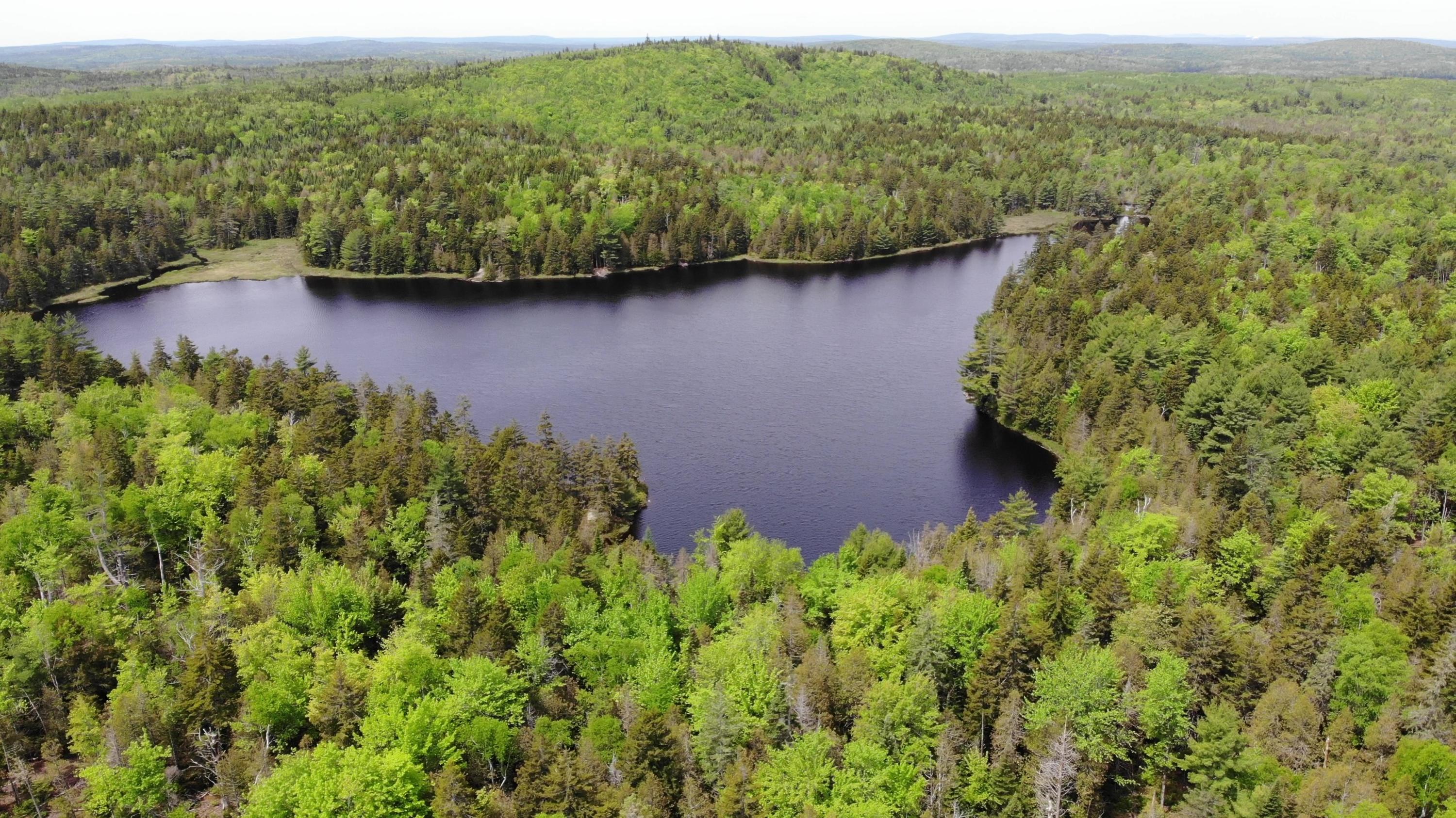 M2-l9 &10 Diffin Hill Road Robbinston, ME 04671 - Photo 5 of 66 Pic 10