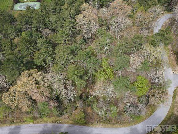 Tr C Trillium Ridge Road Cashiers, NC 28717 - Photo 11 of 16 Gallery Image 11