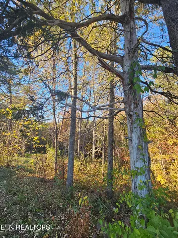 $394,900 | 119 Banks Trail, Kodak, TN 37764