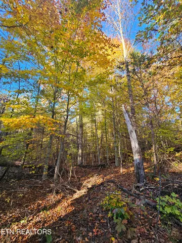 $399,889 | 119 Banks Trail, Kodak, TN 37764