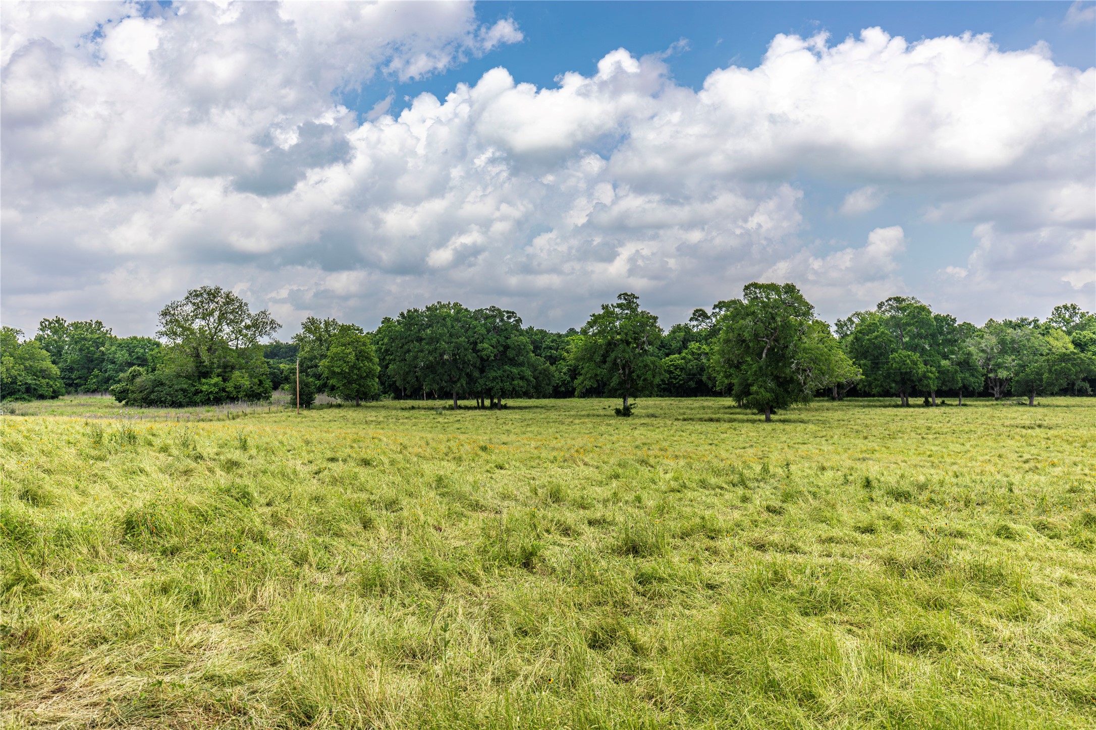3148 Mill Creek Ranch Road Bellville, TX 77418 - Photo 8 of 13