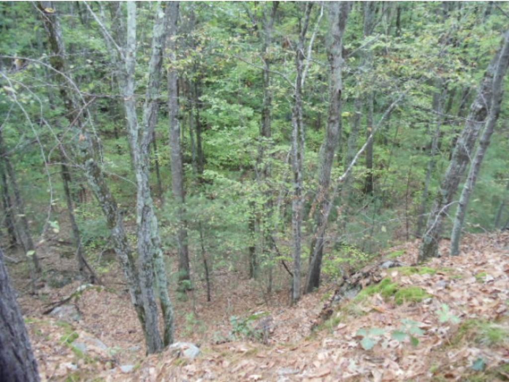 288 A Rte 13, Unit 288A Brookline, NH 03033 - Photo 24 of 25