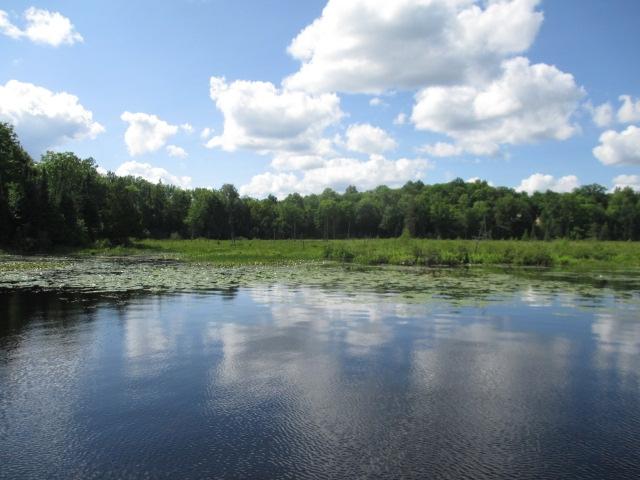 Lot 3 Fisher Lake Road East Mercer, WI 54547 - Photo 1 of 6 Gallery Image 1