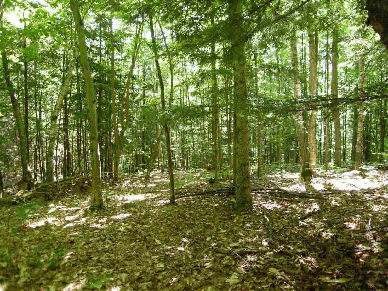 Indian Springs Road Chestertown, NY 12817 - Photo 1 of 2 Photo 1