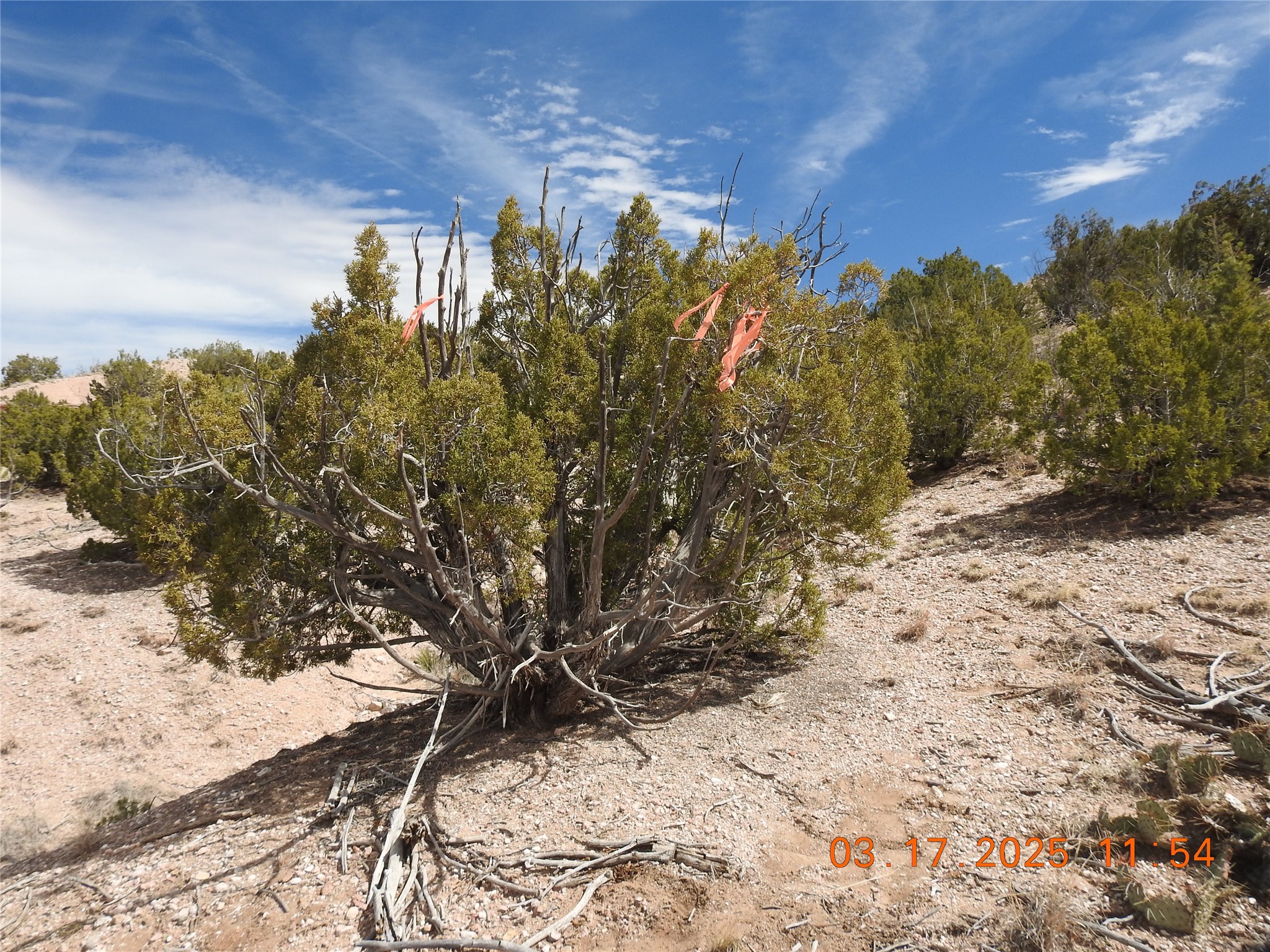 0 Wildass Road Santa Fe, NM 87506 - Photo 17 of 26