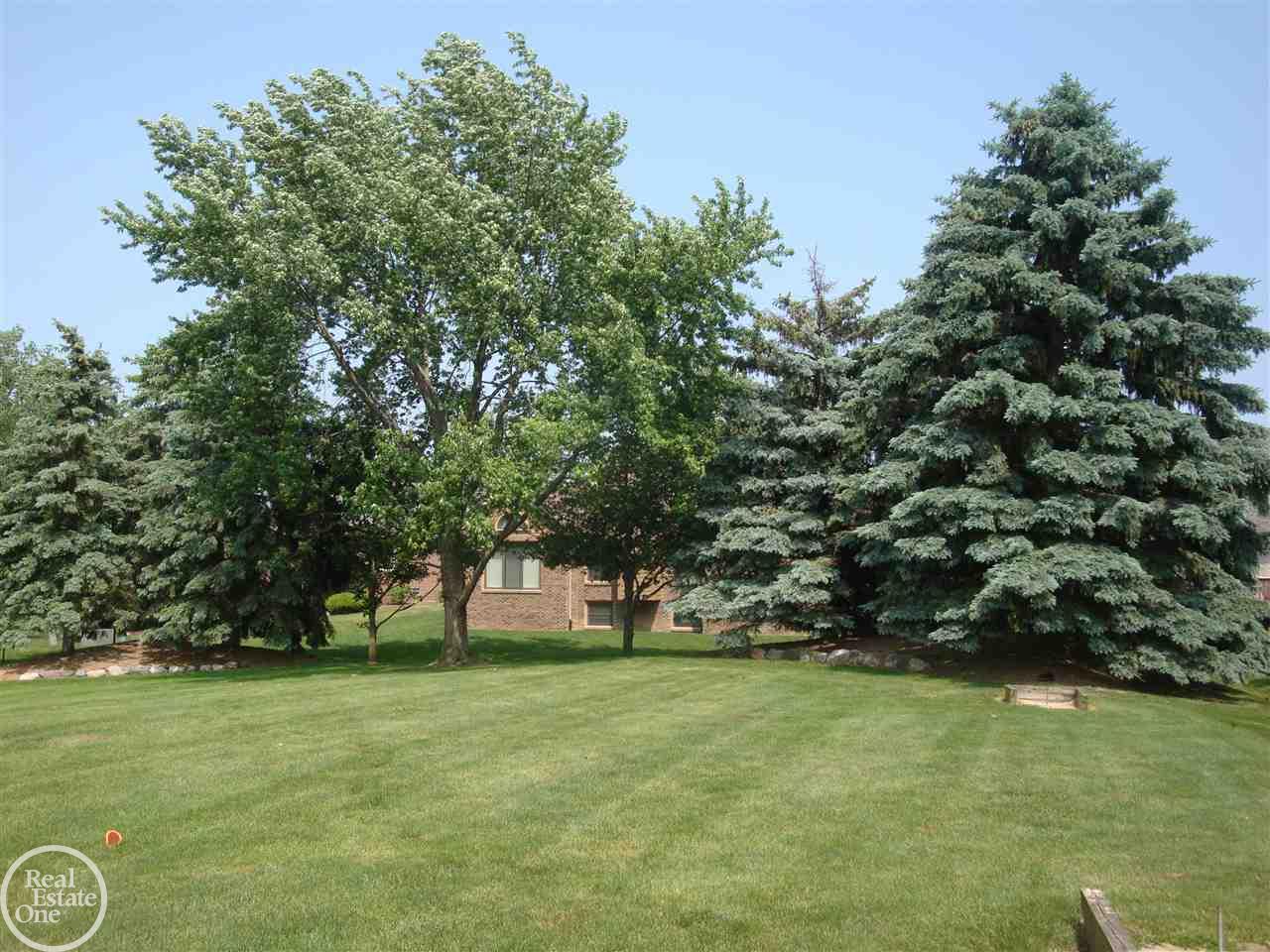 53150 Baker Road Chesterfield, MI 48047 - Photo 58 of 62