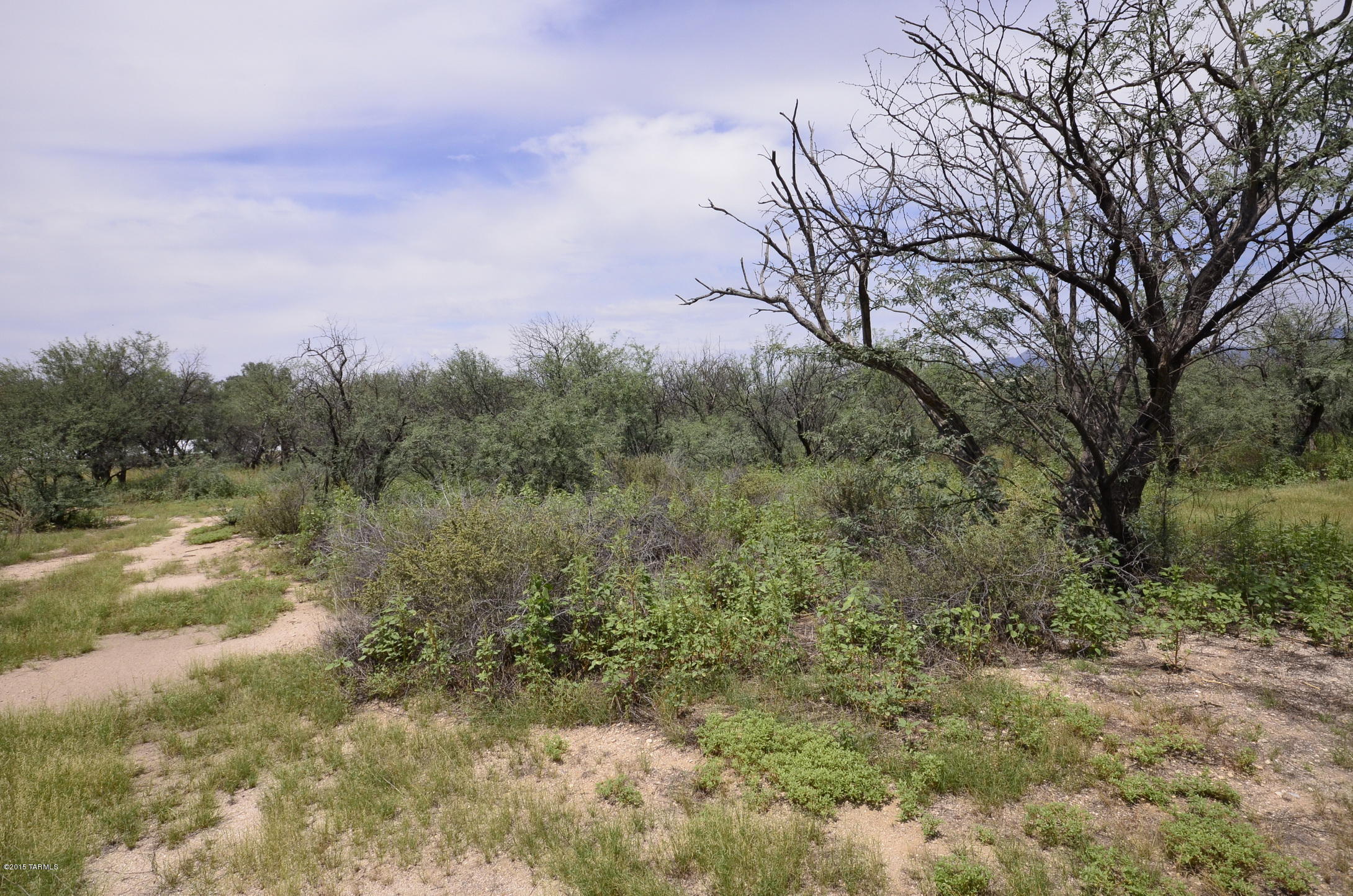 10894 East Tanque Verde Road Tucson, AZ 85749 - Photo 22 of 24 Gallery Image 22