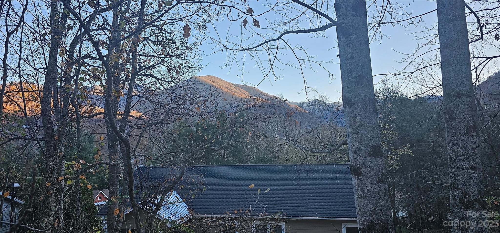 a view of house with a yard