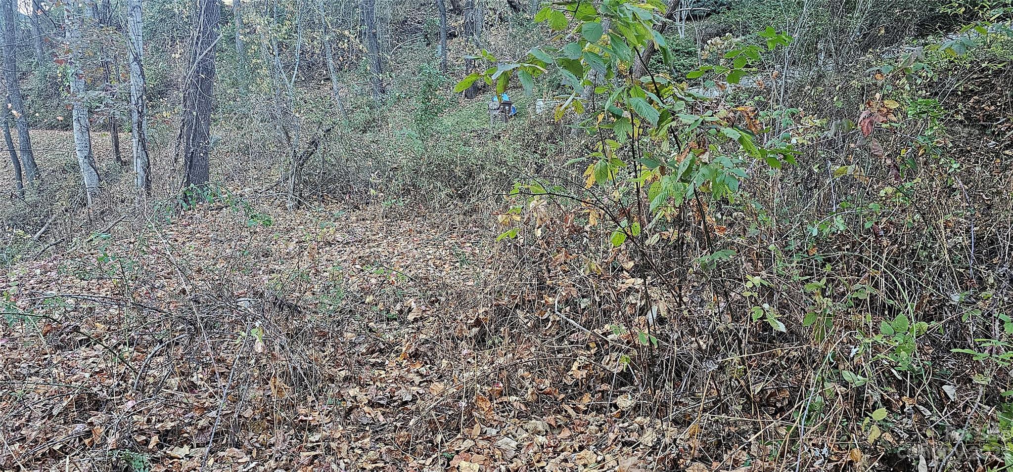 106 Silverleaf Circle Maggie Valley, NC 28751 - Photo 2 of 15 a view of a forest with trees in the background