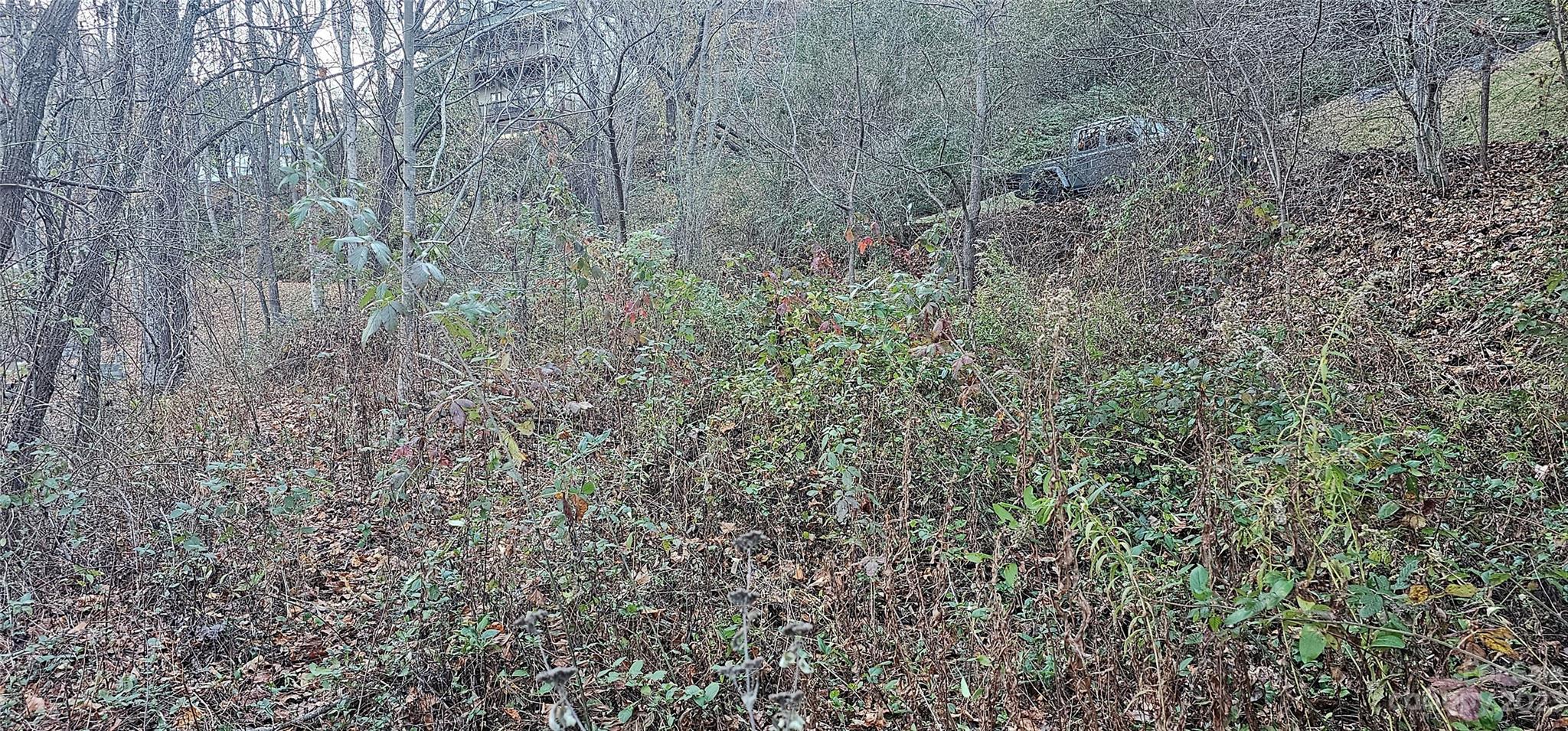 106 Silverleaf Circle Maggie Valley, NC 28751 - Photo 5 of 15 a view of a forest with a dry yard
