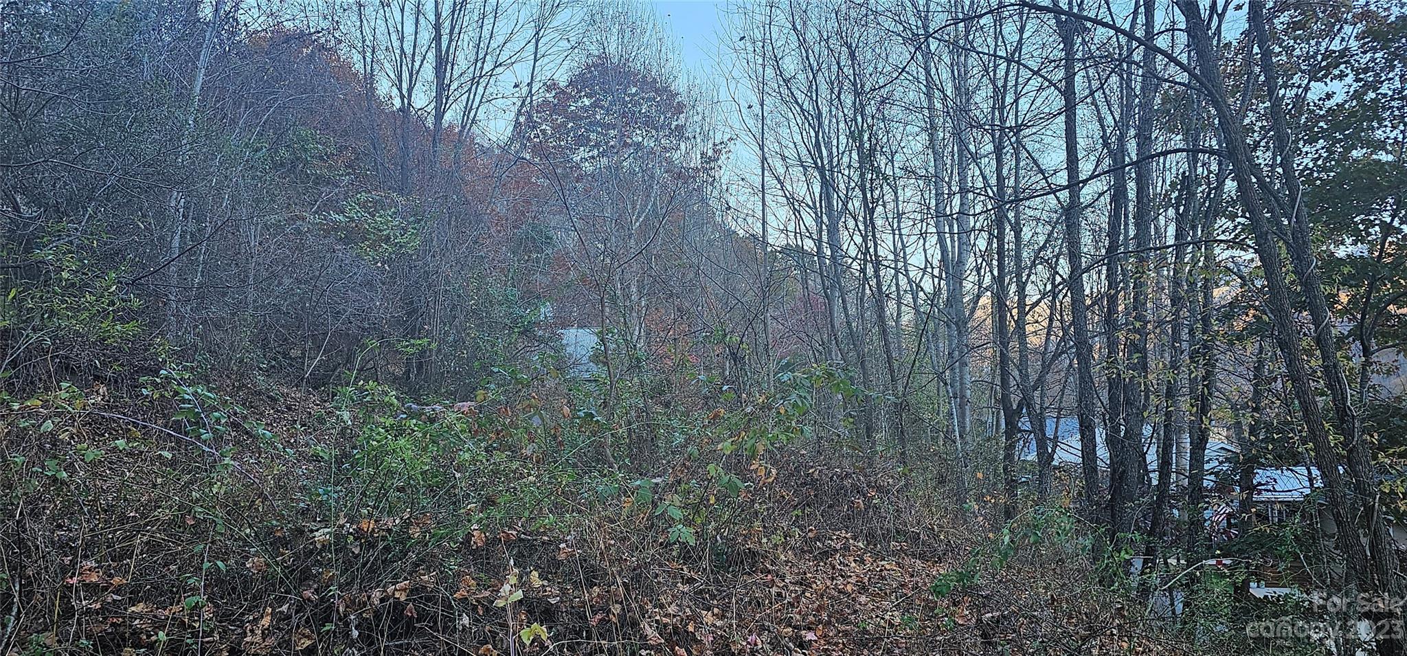 106 Silverleaf Circle Maggie Valley, NC 28751 - Photo 6 of 15 a view of forest