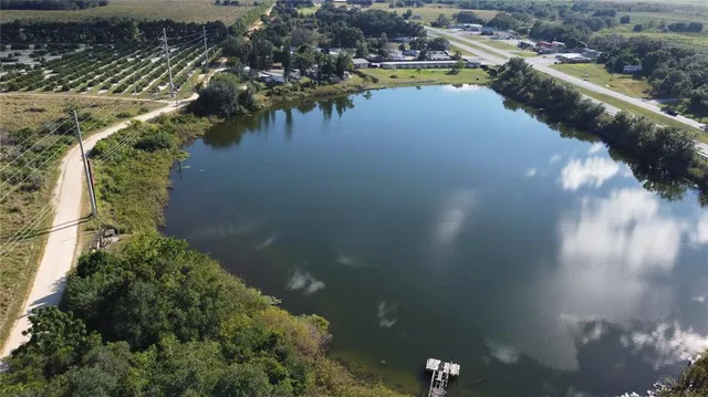 a view of a yard with a large tree