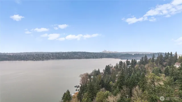 a view of a lake and mountain in the back