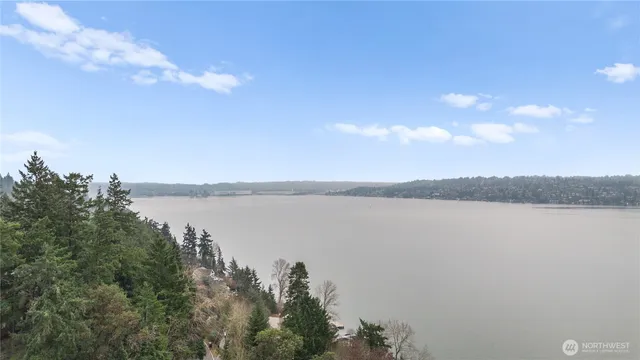 a view of a lake and mountain in the back