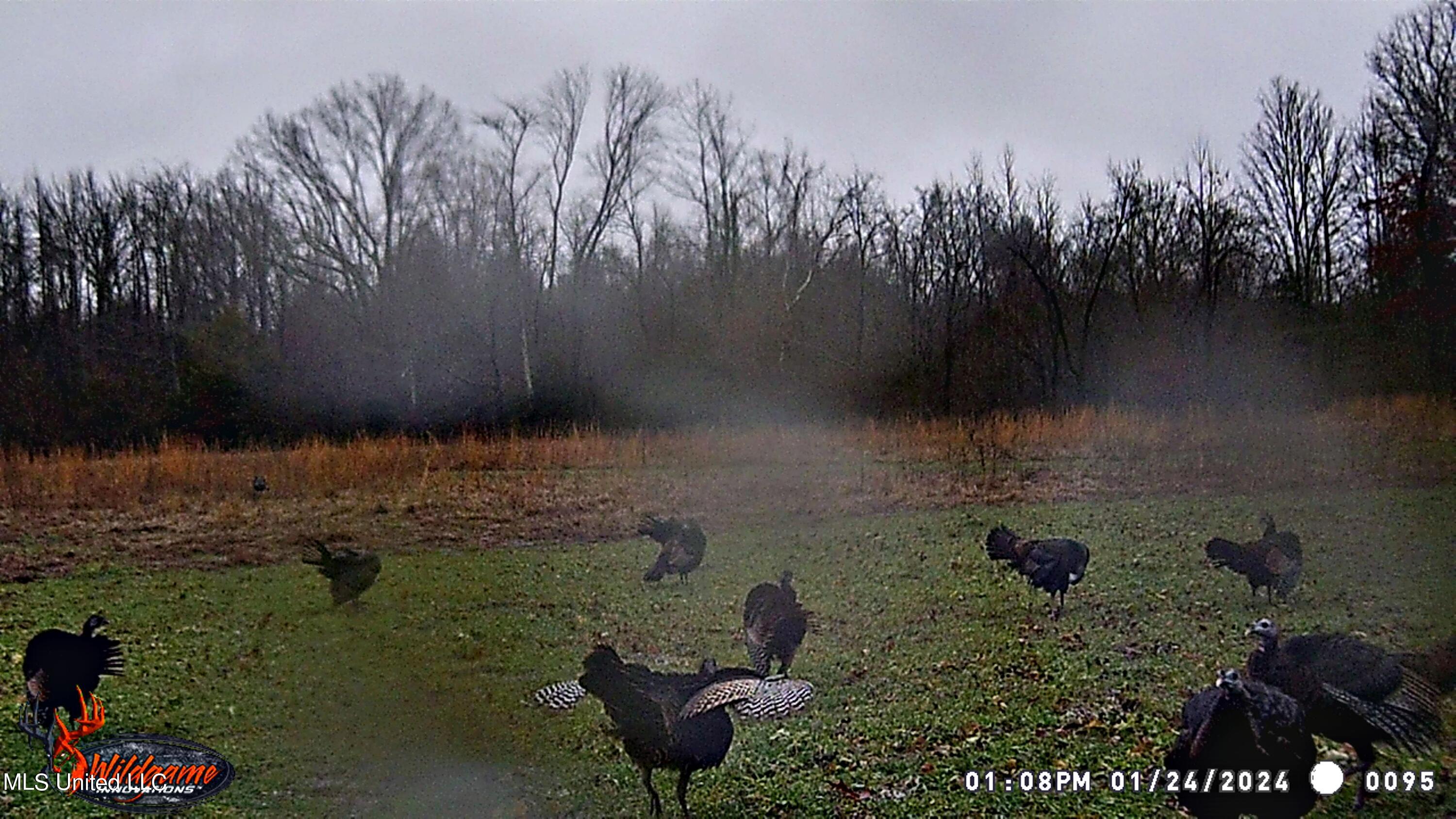 81 Turner Road Sarah, MS 38665 - Photo 15 of 15 Wildlife
