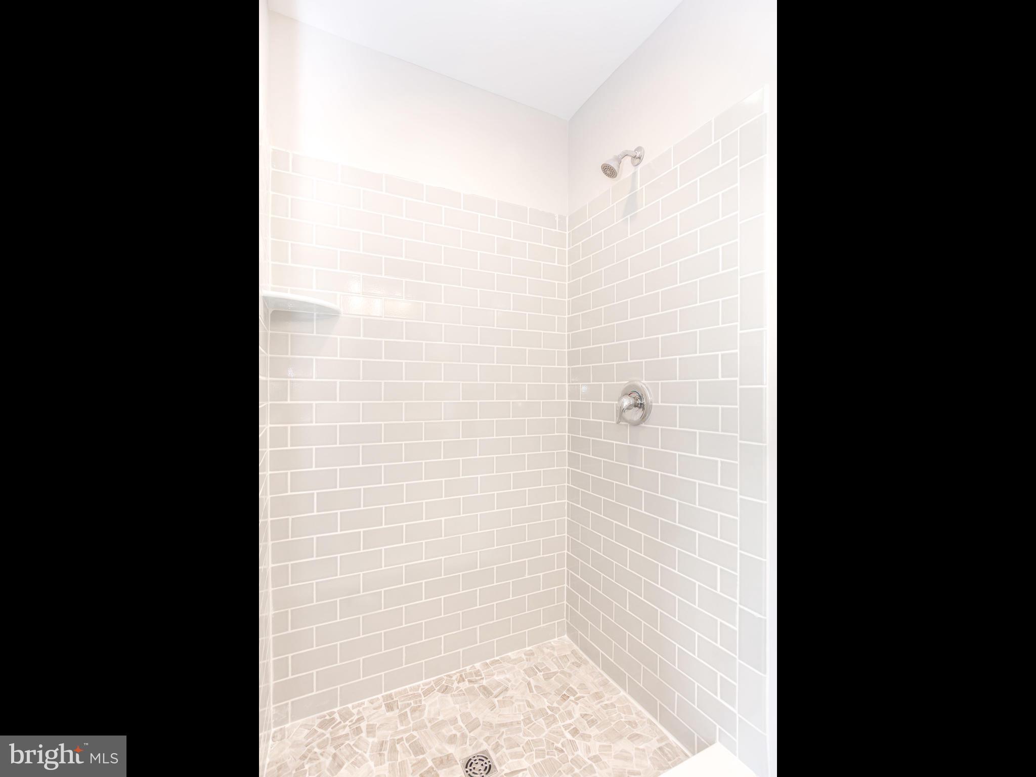 24626 Tribbett Circle Ridgely, MD 21660 - Photo 18 of 28 Master tile shower