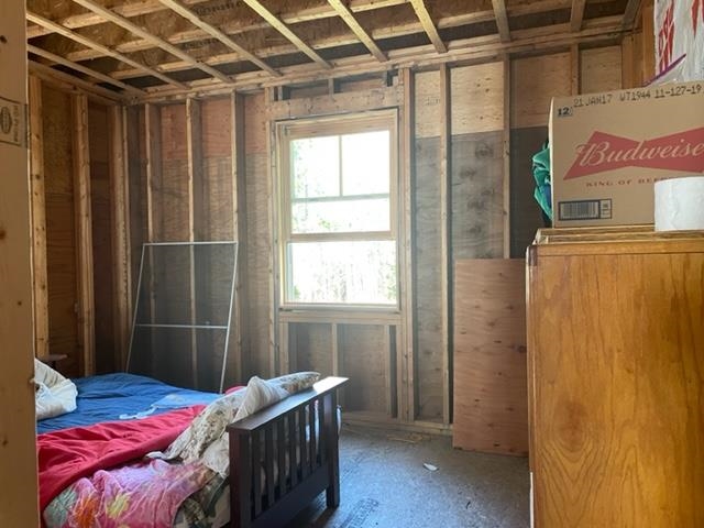 135 Harrison Road Washington, NH 03280 - Photo 8 of 11 Gallery Image 8