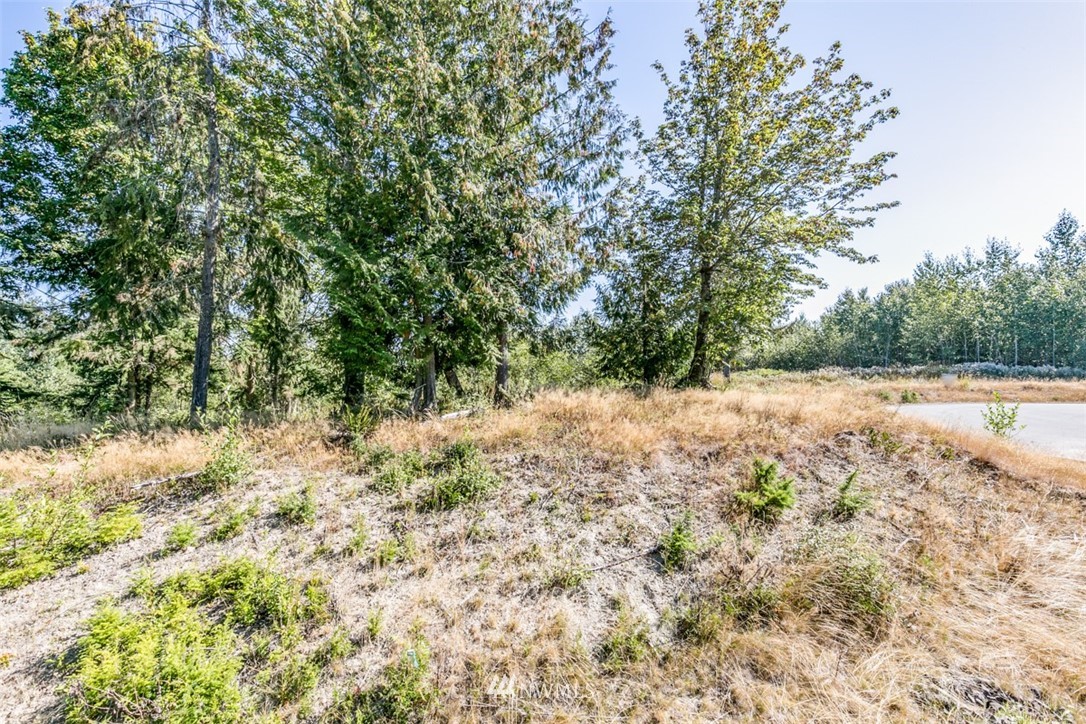 9999 Grand Ridge Way, Unit LOT 9 Port Angeles, WA 98362 - Photo 1 of 30 Gallery Image 1