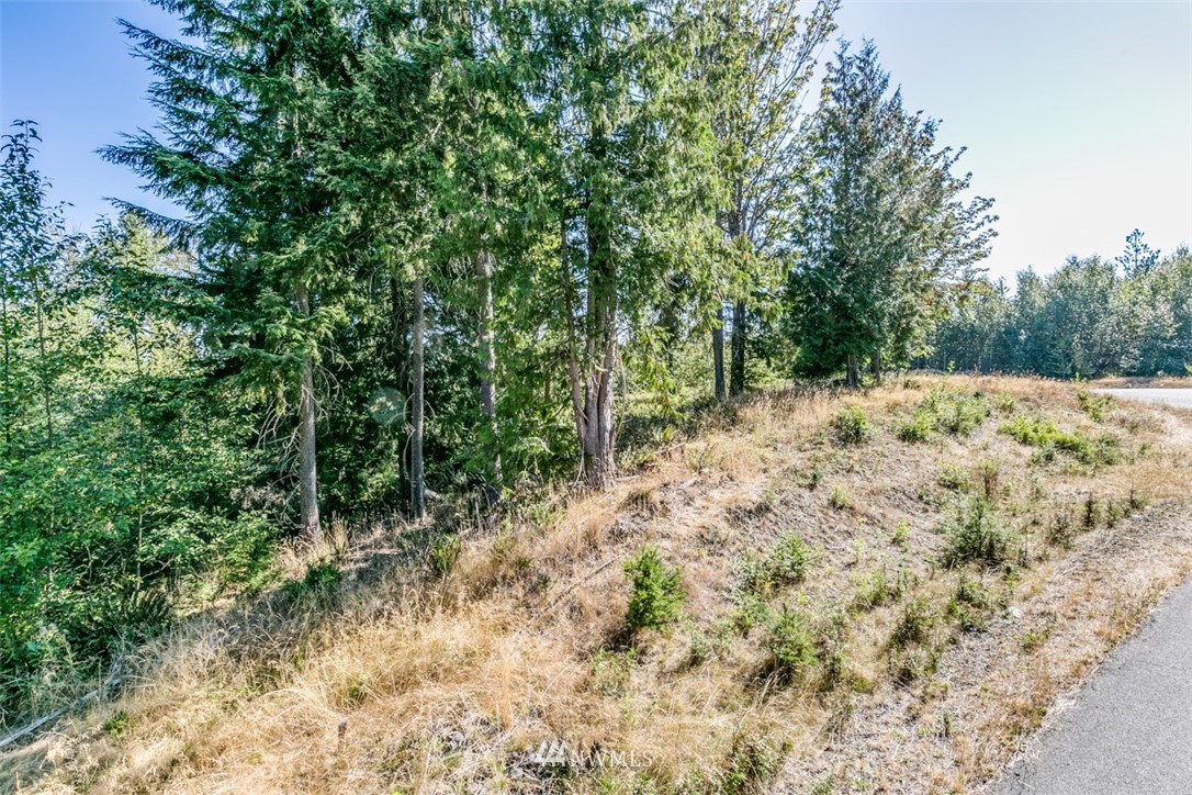 9999 Grand Ridge Way, Unit LOT 9 Port Angeles, WA 98362 - Photo 11 of 30 Gallery Image 11