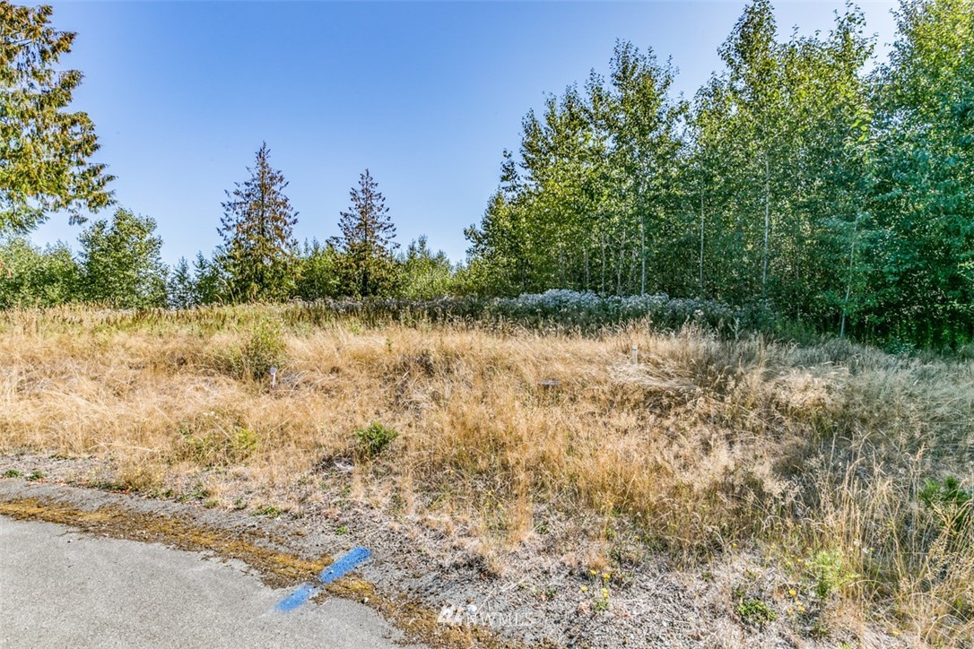 9999 Grand Ridge Way, Unit LOT 9 Port Angeles, WA 98362 - Photo 13 of 30 Gallery Image 13
