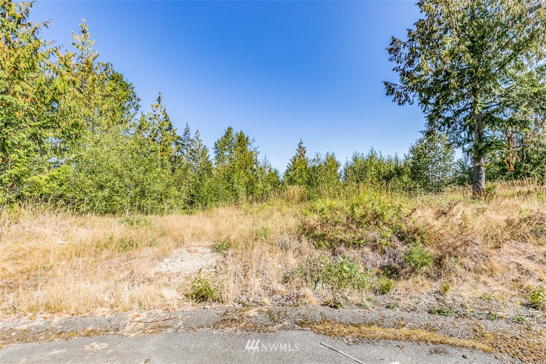9999 Grand Ridge Way, Unit LOT 9 Port Angeles, WA 98362 - Photo 16 of 30 Gallery Image 16