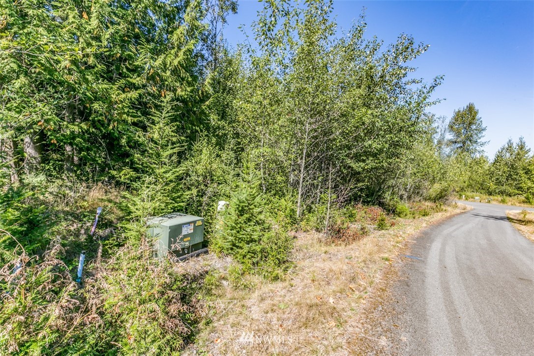 9999 Grand Ridge Way, Unit LOT 9 Port Angeles, WA 98362 - Photo 17 of 30 Gallery Image 17