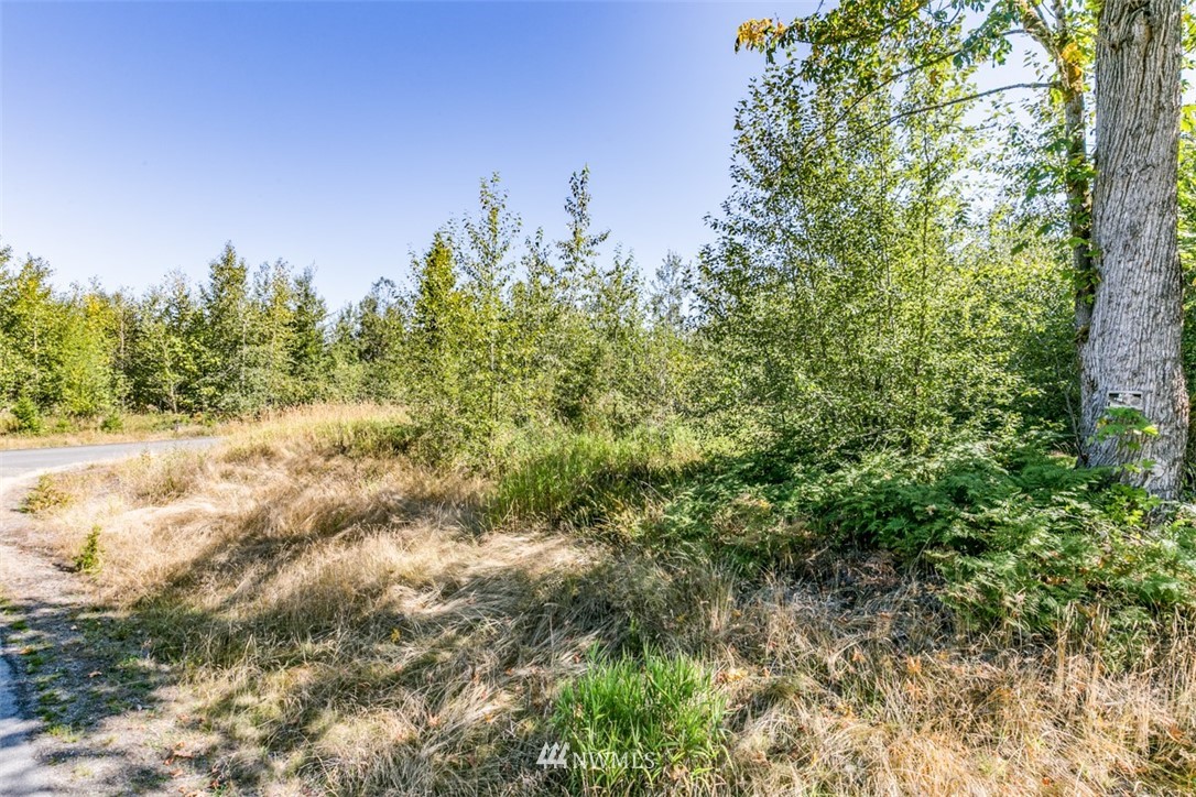 9999 Grand Ridge Way, Unit LOT 9 Port Angeles, WA 98362 - Photo 19 of 30 Gallery Image 19